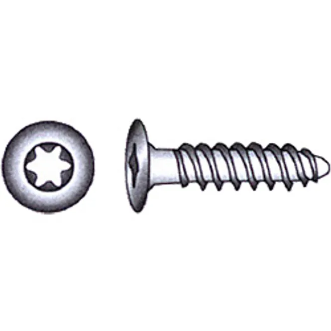 Hovedbilde DIN 1001, Gulvskrue torx 4,8 x 19 mm 15stk