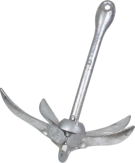 Hovedbilde Paraplydregg